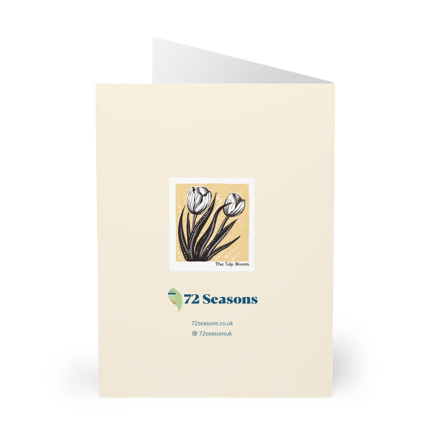 The Tulip Blooms greeting card (5 pack)