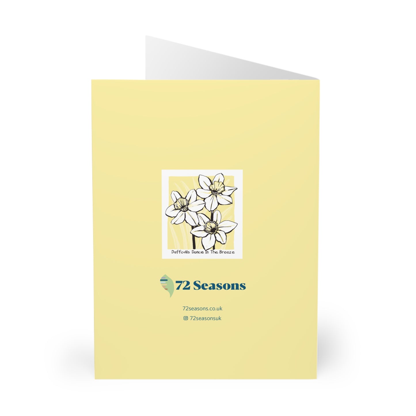 Daffodils Dance In The Breeze greeting card (5 pack)