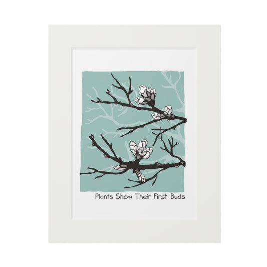 Plants Show Their First Buds Fine Art Print