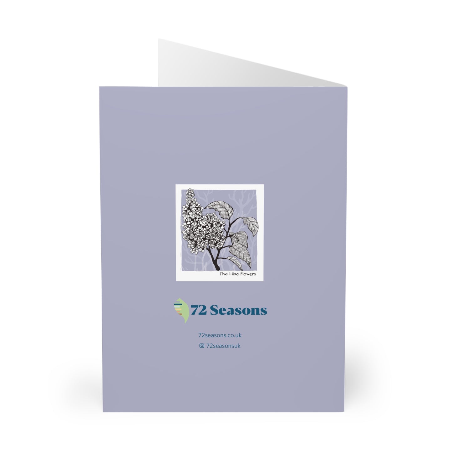 The Lilac Flowers greeting card (5 pack)