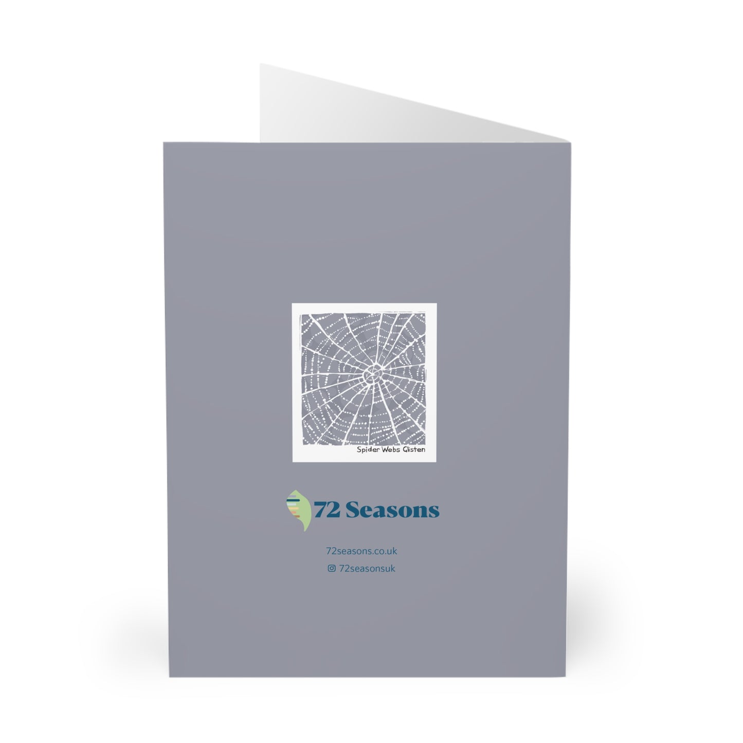 Spider Webs Glisten greeting card (5 pack)