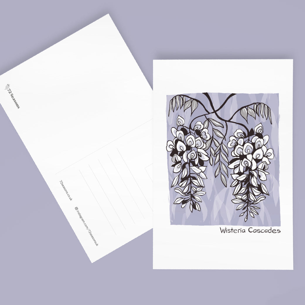 Wisteria Cascades postcard