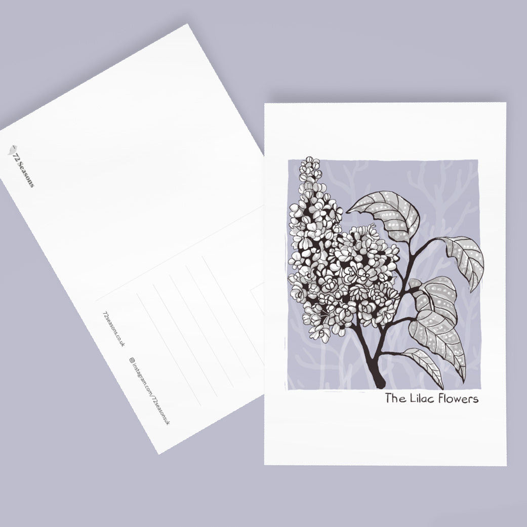 May Postcard Collection