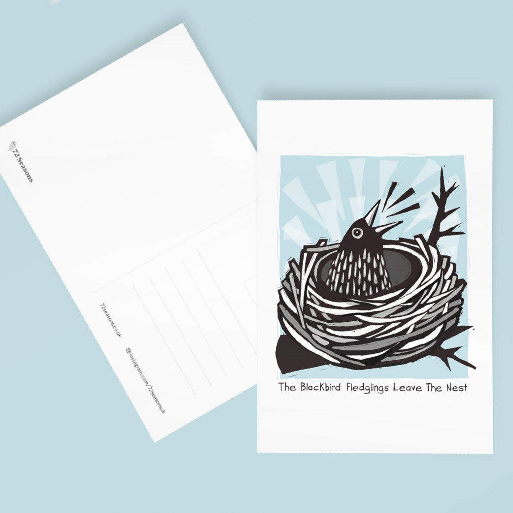 Blackbird Fledglings Leave The Nest postcard