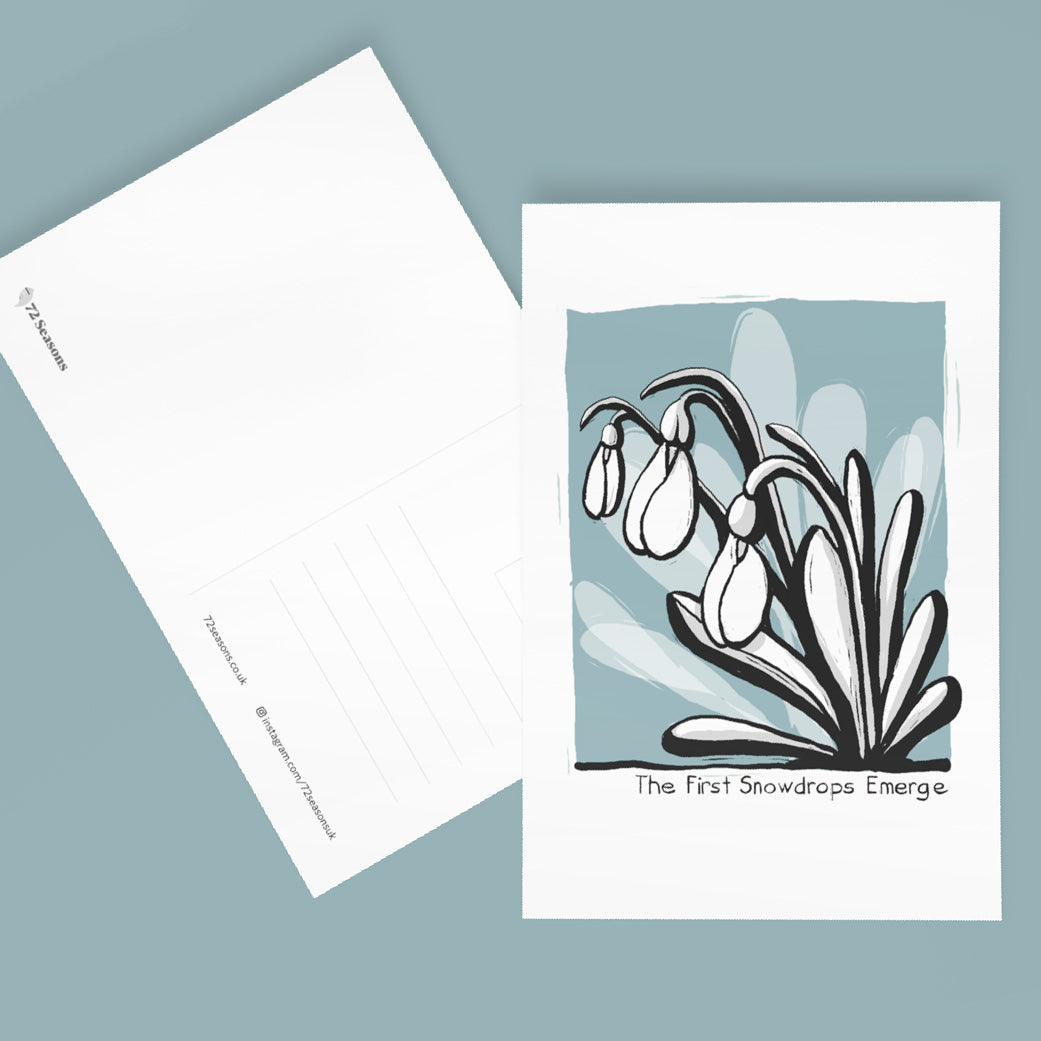 January Postcard Collection