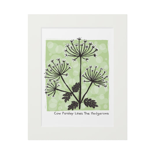 Cow Parsley Lines The Hedgerows Fine Art Print