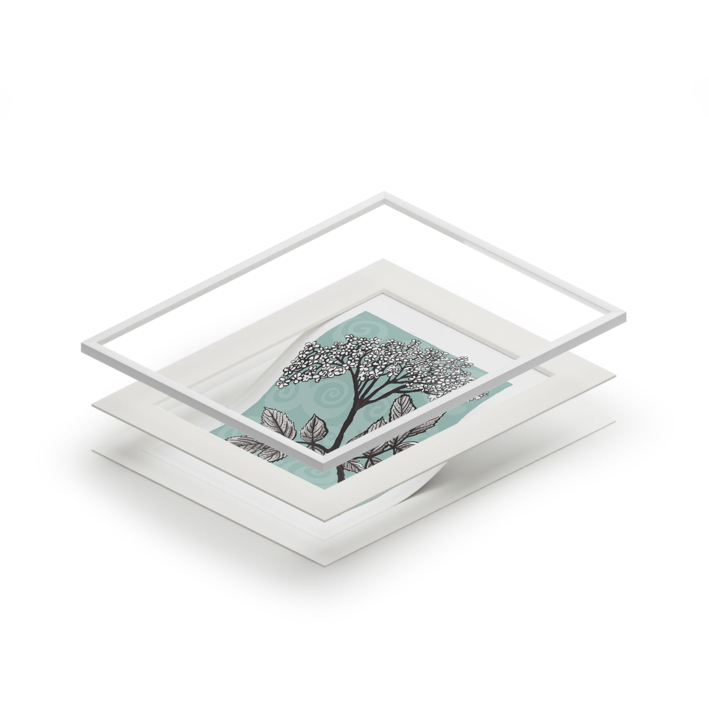 The Elder Flowers fine art print