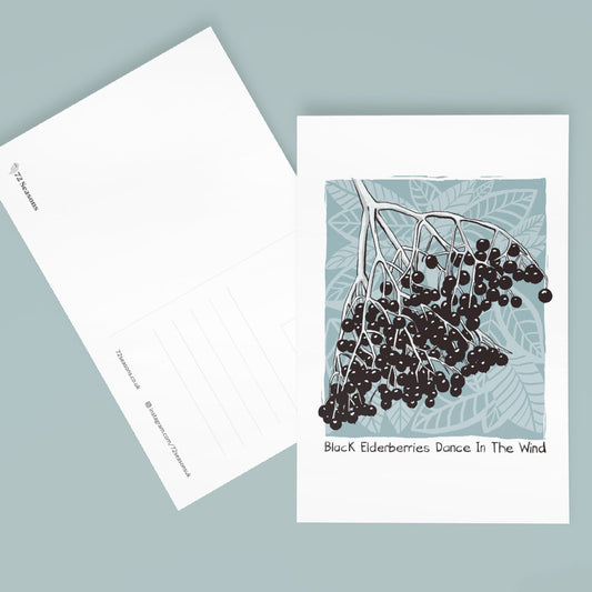 Black Elderberries Dance In The Wind postcard