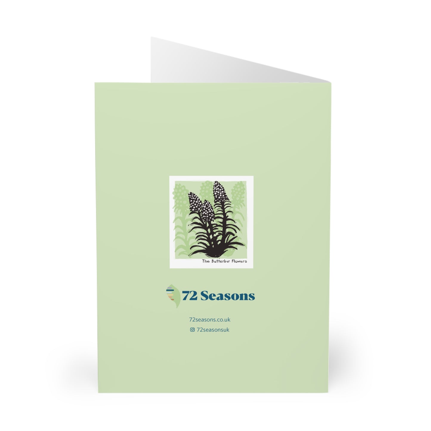 The Butterbur Flowers greeting card (5 pack)