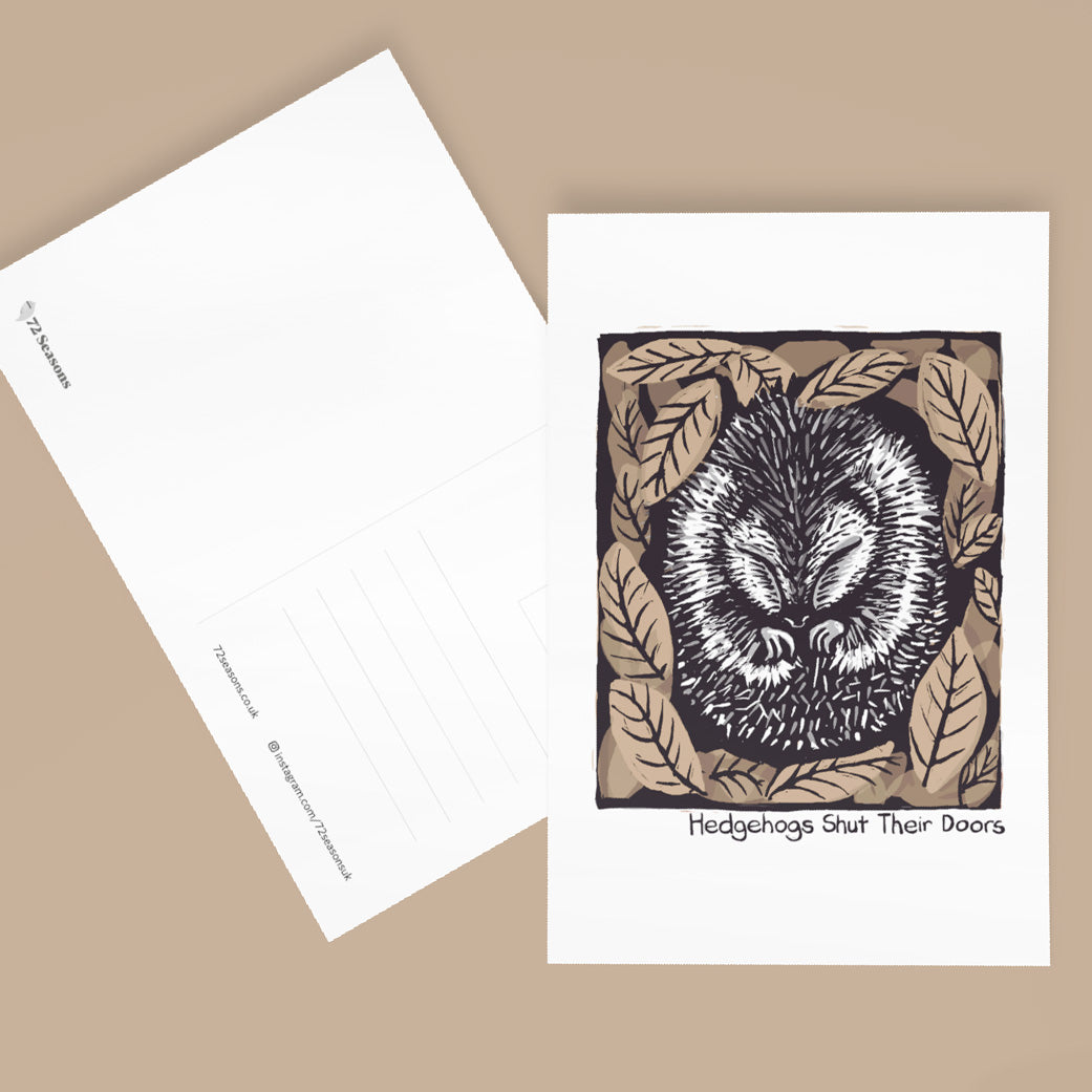 Hedgehogs Shut Their Doors postcard