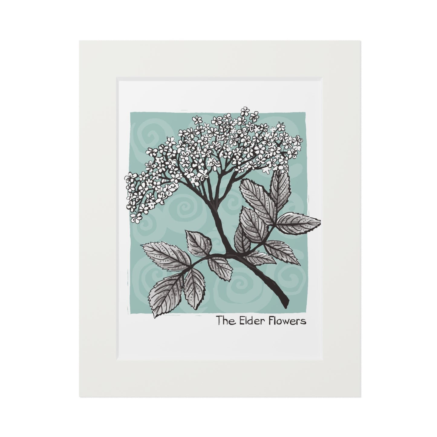 The Elder Flowers fine art print