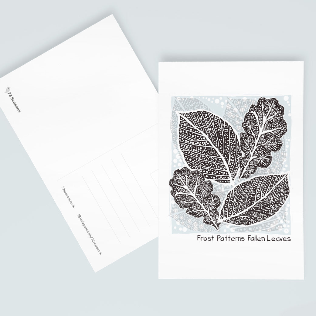 Frost Patterns Fallen Leaves postcard
