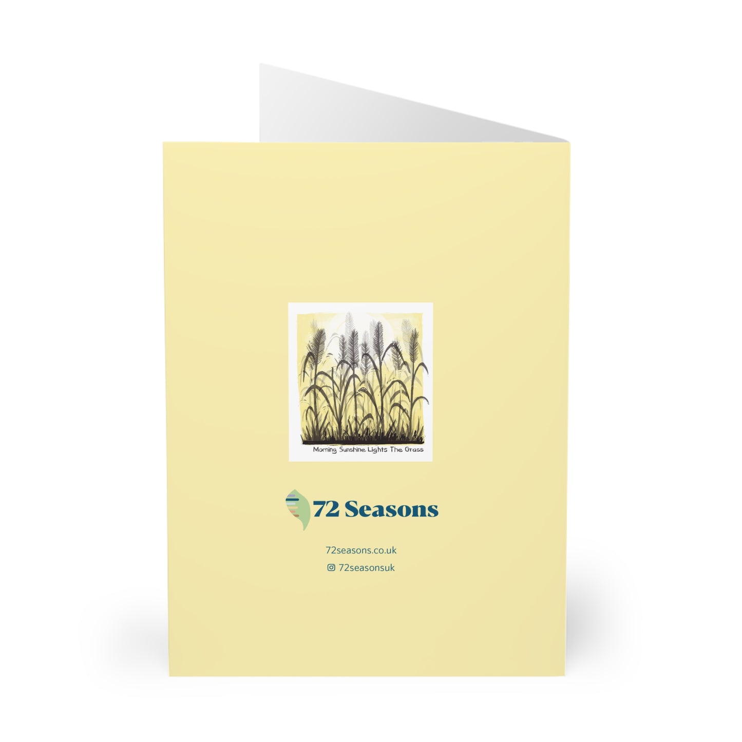 Morning Sunshine Lights The Grass greeting card (5 pack)
