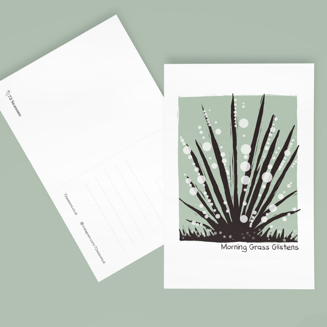 Morning Grass Glistens postcard