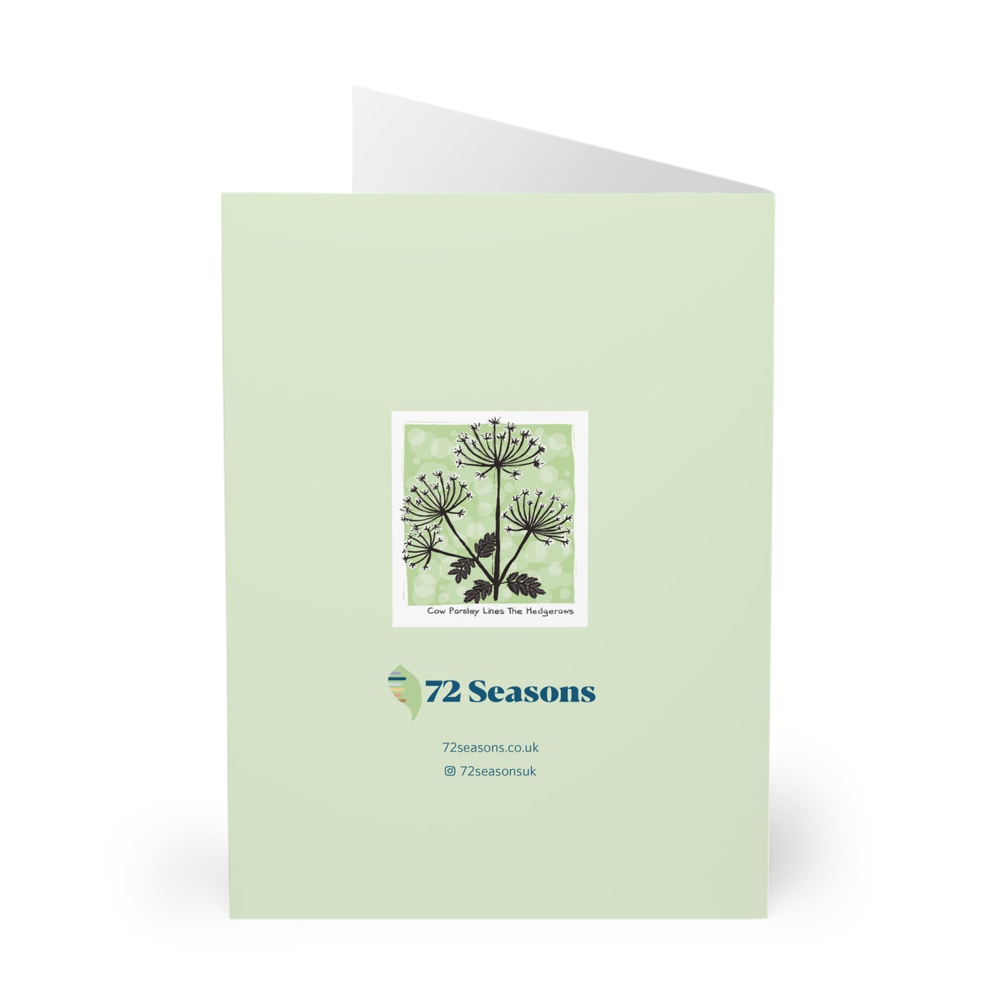 Cow Parsley Lines The Hedgerows greeting card (5 pack)