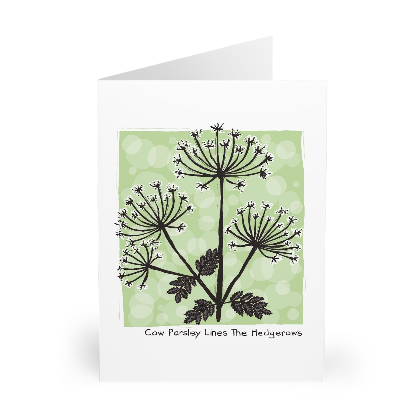 Cow Parsley Lines The Hedgerows greeting card (5 pack)