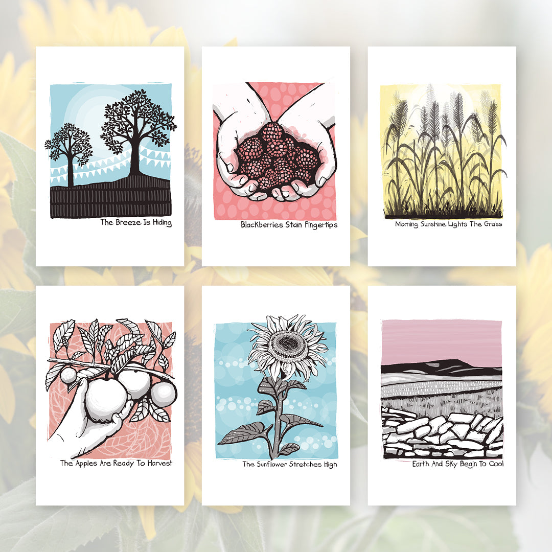 August Postcard Collection