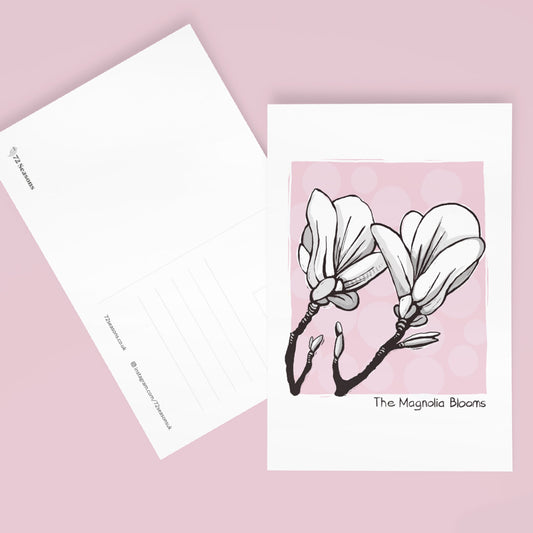 The Magnolia Blooms postcard