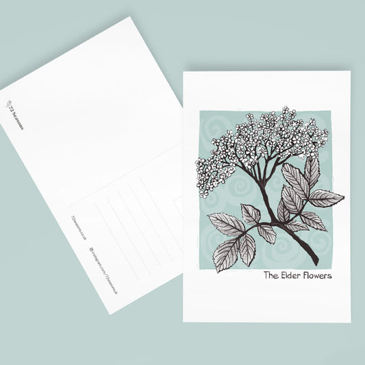 The Elder Flowers postcard