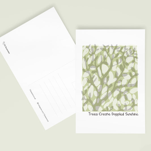 Trees Create Dappled Sunshine postcard