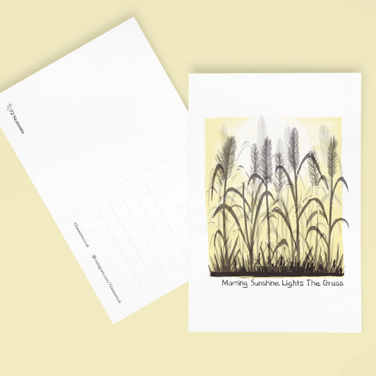 Morning Sunshine Lights The Grass postcard