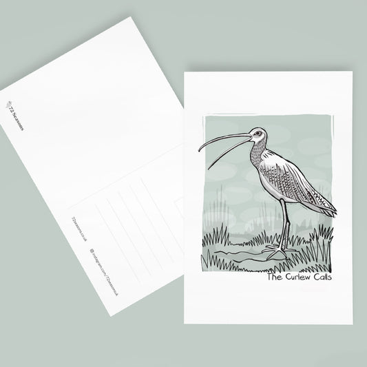 The Curlew Calls postcard